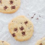 Halloween Spider Cookies