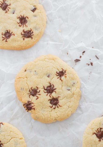 Halloween Spider Cookies