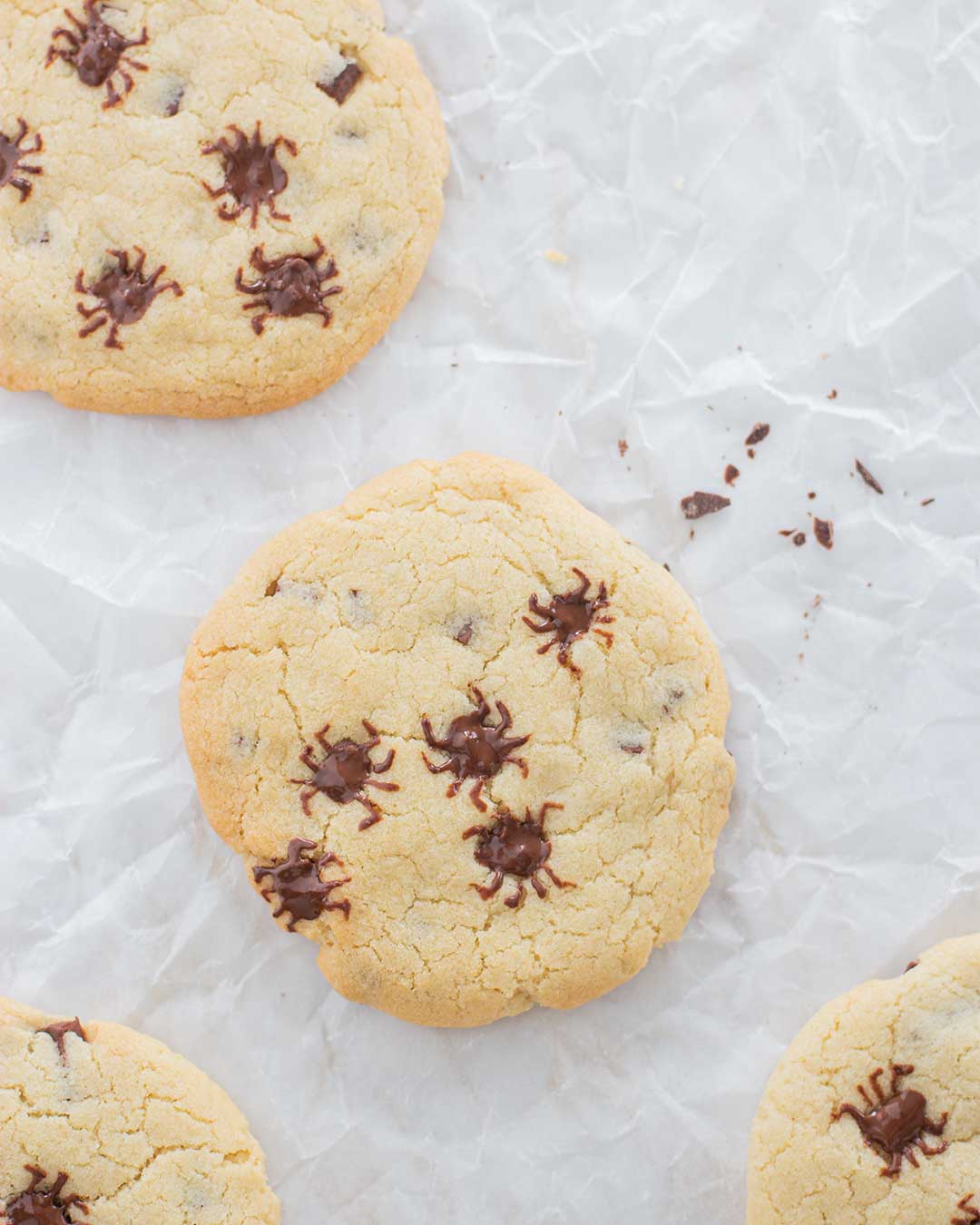 Halloween Spider Cookies